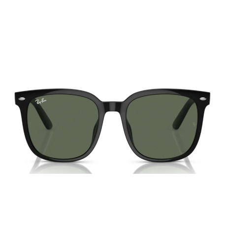 Ray-Ban 4401D SOLE 601/71