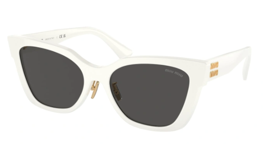 Luxury women s sunglasses Miu Miu 02ZS SUN 1425S0 new collection