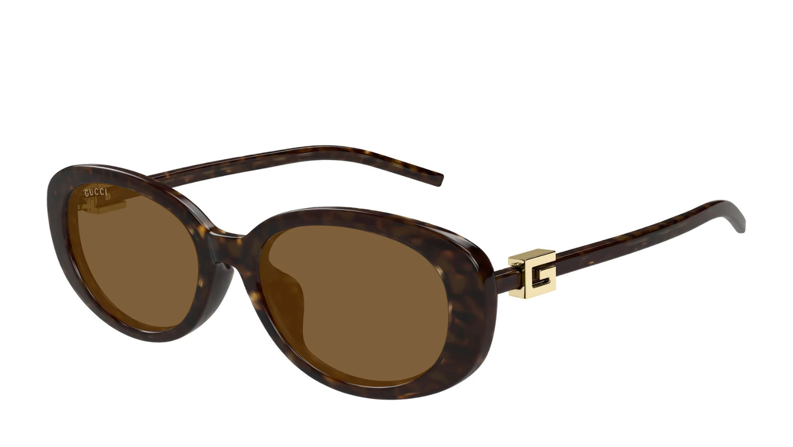 Women's Sunglasses Luxury Gucci GG1684SA 004 havana havana brown new collection
