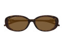 Women's Sunglasses Luxury Gucci GG1684SA 004 havana havana brown new collection