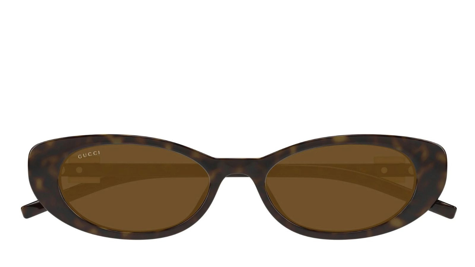 Women's Sunglasses Luxury Gucci GG1680S 004 havana havana brown new collection