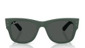 Occhiali da sole uomo donna Luxury Ray-Ban 4840S SOLE 665787 nuova collezione