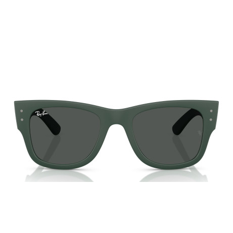 Ray-Ban 4840S SOLE 665787