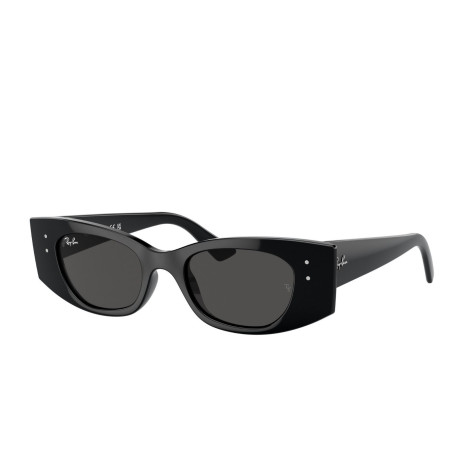 Occhiali da sole uomo donna Luxury Ray-Ban 4427 SOLE 667787 nuova collezione 2