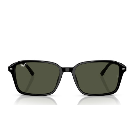 Ray-Ban 2231 SOLE 901/31