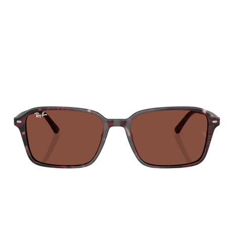 Ray-Ban 2231 SOLE 1416C5