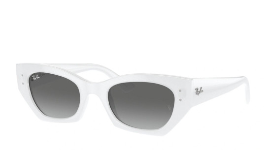 Occhiali da sole uomo donna Luxury Ray-Ban 4430 SOLE 675911 nuova collezione