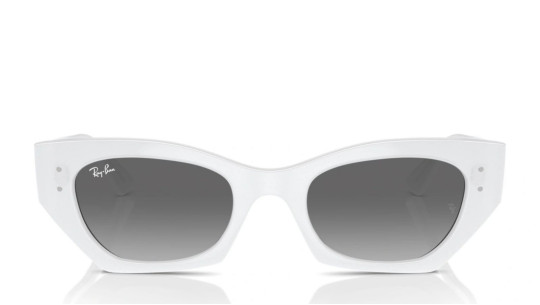 Occhiali da sole uomo donna Luxury Ray-Ban 4430 SOLE 675911 nuova collezione Occhiali da sole uomo donna Luxury Ray-Ban 4430 SOLE 675911 nuova collezione