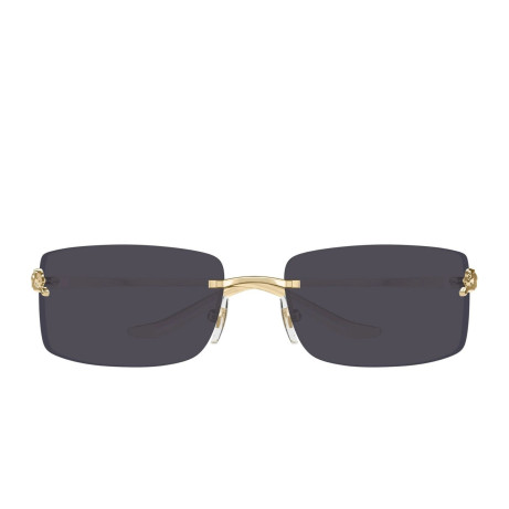 Cartier CT0503S 001 gold gold grey