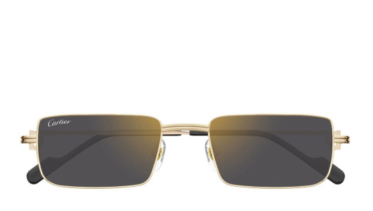 Occhiali da sole uomo donna Luxury Cartier CT0501S 001 gold gold grey nuova collezione