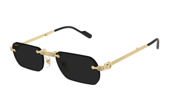 Occhiali da sole uomo Luxury Cartier CT0499S 001 gold gold grey nuova collezione