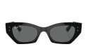 Ray-Ban 4430 SOLE 667781