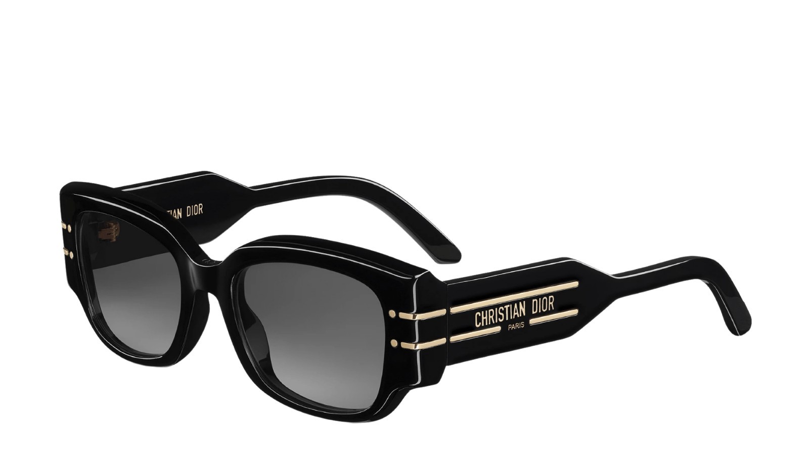 Dior Woman DIORSIGNATURE S13I 10a1