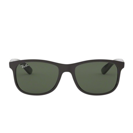 Ray-Ban 4202 SOLE 606971