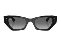 Ray-Ban 4430 SOLE 667711