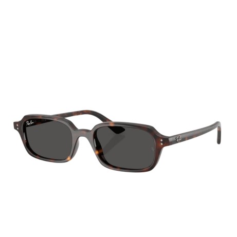 Occhiali da sole uomo donna Luxury Ray-Ban 4455 SOLE 135987 nuova collezione 2