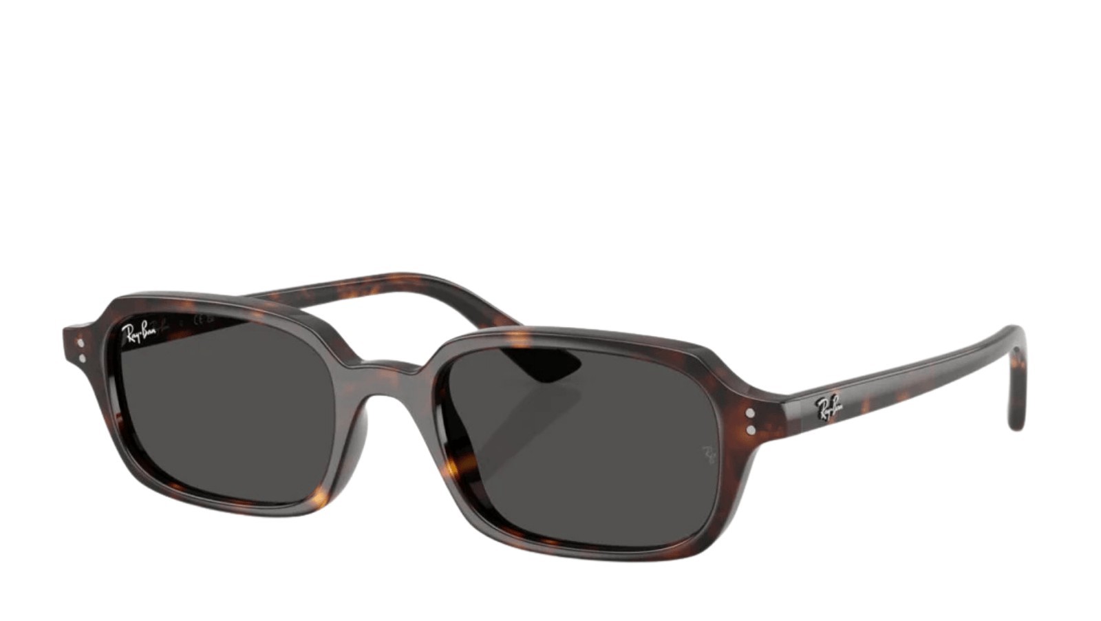 Occhiali da sole uomo donna Luxury Ray-Ban 4455 SOLE 135987 nuova collezione