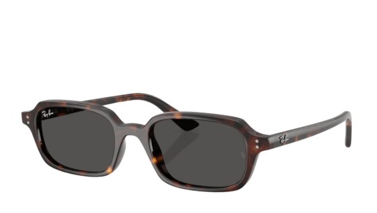 Occhiali da sole uomo donna Luxury Ray-Ban 4455 SOLE 135987 nuova collezione
