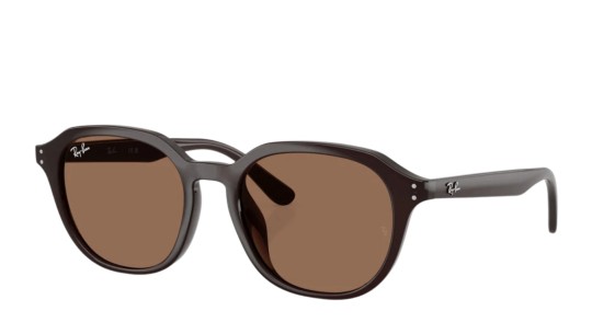 Occhiali da sole uomo donna Luxury Ray-Ban 4459D SOLE 623173 nuova collezione