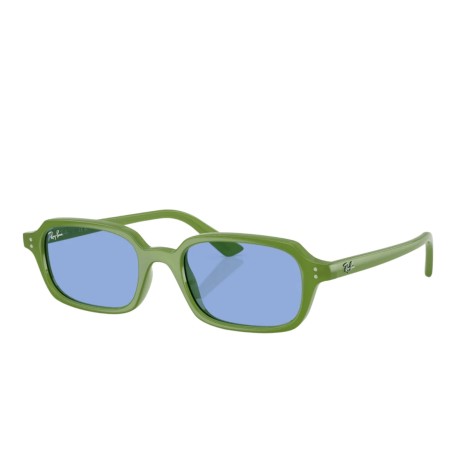 Occhiali da sole uomo donna Luxury Ray-Ban 4455 SOLE 681080 nuova collezione 2