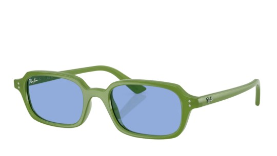 Occhiali da sole uomo donna Luxury Ray-Ban 4455 SOLE 681080 nuova collezione