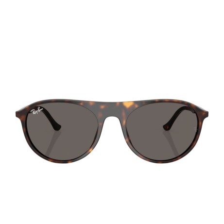 Ray-Ban 2215 SOLE 902/B1