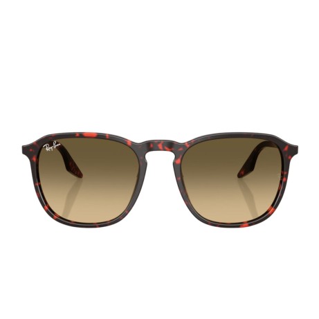 Ray-Ban 2203 SOLE 14290A