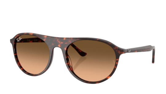 Occhiali da sole uomo donna Luxury Ray-Ban 2215 SOLE 14293B nuova collezione