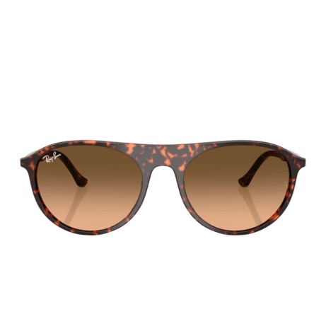 Ray-Ban 2215 SOLE 14293B