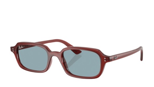 Ray-Ban 4455 SOLE 680980