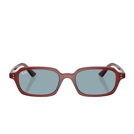 Ray-Ban 4455 SOLE 680980