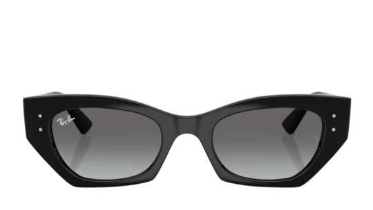 Ray-Ban 4430 SOLE 667711