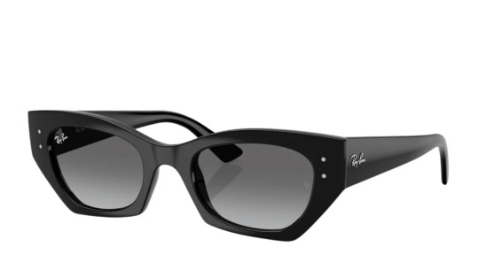 Ray-Ban 4430 SOLE 667711