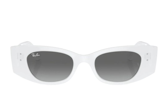 Ray-Ban 4427 SOLE 675911