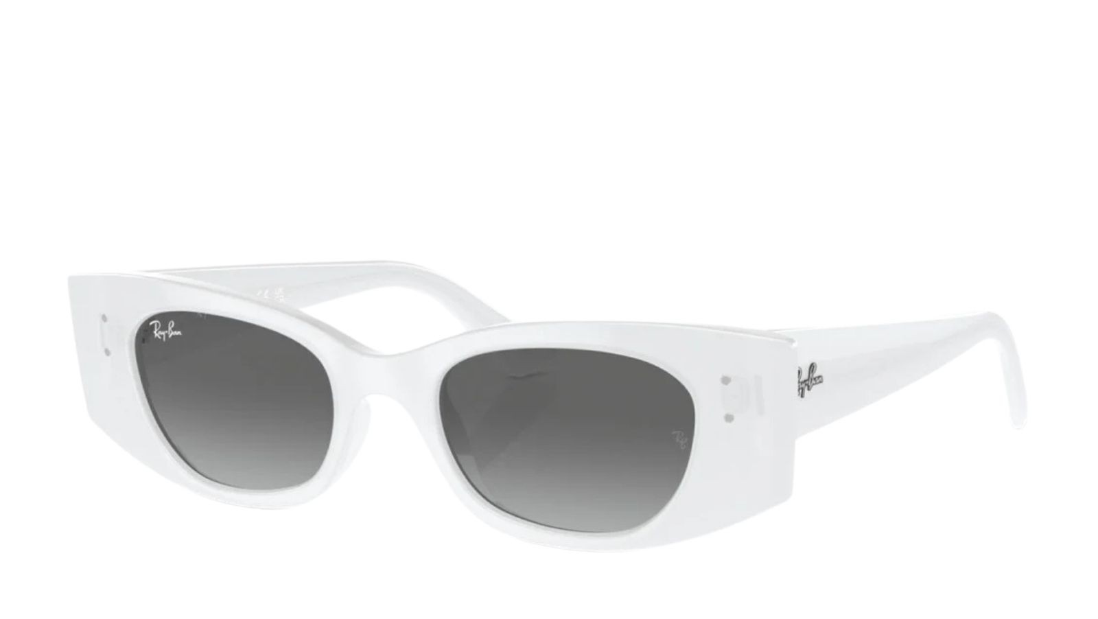 Ray-Ban 4427 SOLE 675911