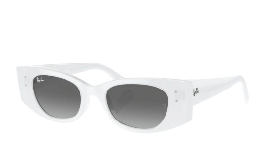 Ray-Ban 4427 SOLE 675911