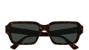 Gucci GG1887S 002 havana havana green
