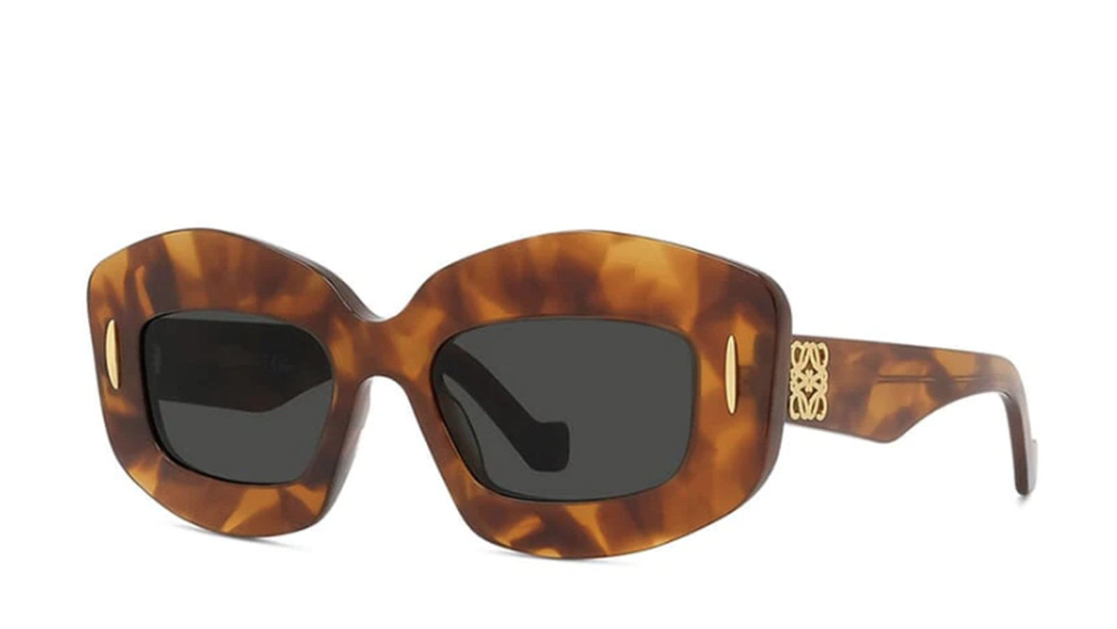 Luxury women s sunglasses Loewe LW40114I 53rd new collection