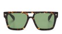 Off White OERI133 SPRINGFIELD SUNGLASSES 6e55 havana   green