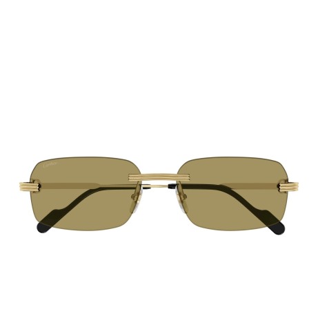 Cartier CT0271S 009 gold gold brown