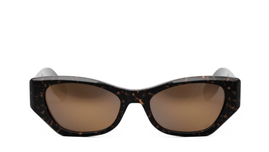 Luxury women s sunglasses Dior Woman LADY 95.22 B1I 20f5 new collection Luxury women s sunglasses Dior Woman LADY 95.22 B1I 20f5 new collection
