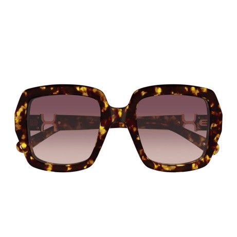 Chloé CH0301S 002 havana havana red