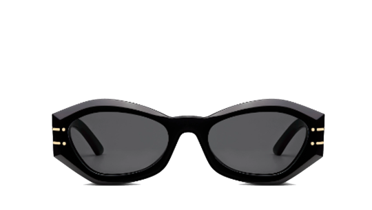 Luxury women s sunglasses Dior Woman DIORSIGNATURE B1U 10a0 new collection Luxury women s sunglasses Dior Woman DIORSIGNATURE B1U 10a0 new collection