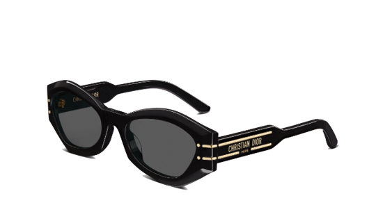 Luxury women s sunglasses Dior Woman DIORSIGNATURE B1U 10a0 new collection