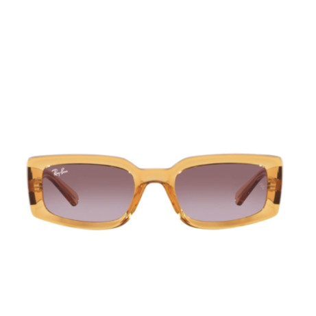 Ray-Ban 4395 SUN 66828H