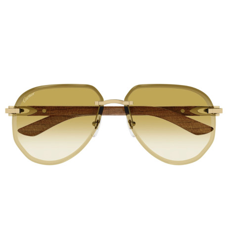 Cartier CT0440S gold brown yellow (004)