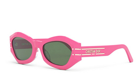 Luxury women s sunglasses Dior Woman DIORSIGNATURE B1U 73c0 new collection